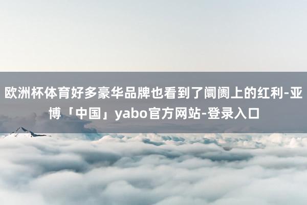 欧洲杯体育好多豪华品牌也看到了阛阓上的红利-亚博「中国」yabo官方网站-登录入口