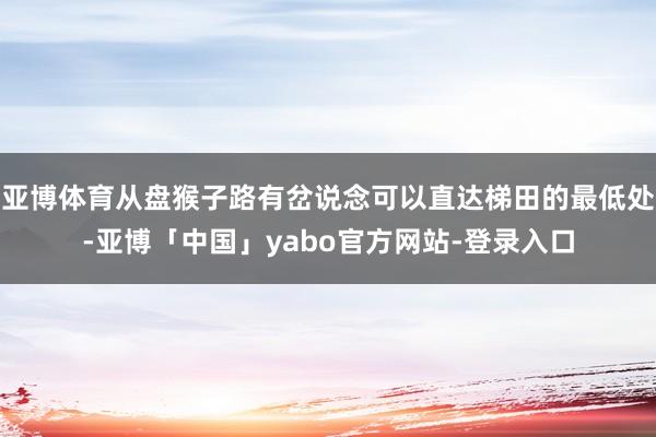 亚博体育从盘猴子路有岔说念可以直达梯田的最低处-亚博「中国」yabo官方网站-登录入口