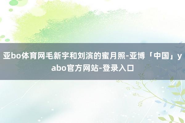 亚bo体育网毛新宇和刘滨的蜜月照-亚博「中国」yabo官方网站-登录入口