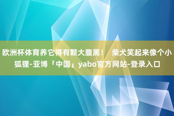 欧洲杯体育养它得有颗大腹黑！  柴犬笑起来像个小狐狸-亚博「中国」yabo官方网站-登录入口