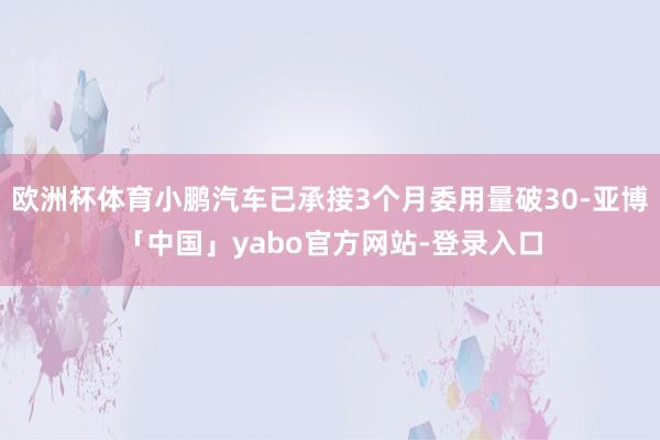 欧洲杯体育小鹏汽车已承接3个月委用量破30-亚博「中国」yabo官方网站-登录入口