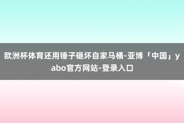 欧洲杯体育还用锤子砸坏自家马桶-亚博「中国」yabo官方网站-登录入口