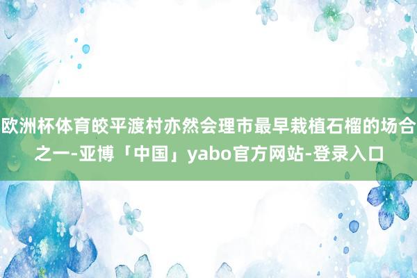 欧洲杯体育皎平渡村亦然会理市最早栽植石榴的场合之一-亚博「中国」yabo官方网站-登录入口