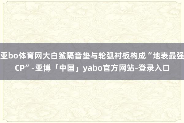 亚bo体育网大白鲨隔音垫与轮弧衬板构成“地表最强CP”-亚博「中国」yabo官方网站-登录入口