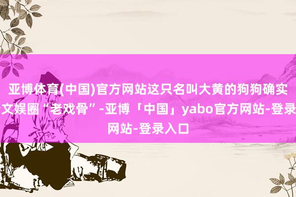 亚博体育(中国)官方网站这只名叫大黄的狗狗确实是个文娱圈“老戏骨”-亚博「中国」yabo官方网站-登录入口