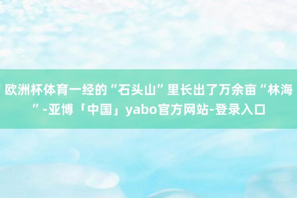 欧洲杯体育一经的“石头山”里长出了万余亩“林海”-亚博「中国」yabo官方网站-登录入口