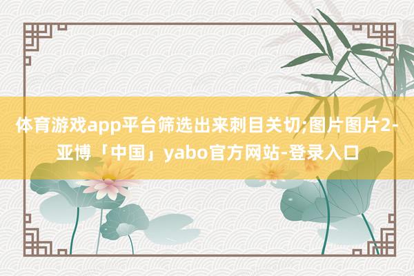 体育游戏app平台筛选出来刺目关切;图片图片2-亚博「中国」yabo官方网站-登录入口