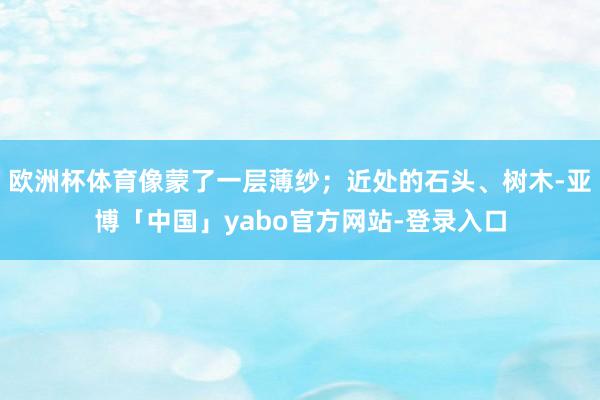 欧洲杯体育像蒙了一层薄纱；近处的石头、树木-亚博「中国」yabo官方网站-登录入口