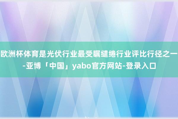 欧洲杯体育是光伏行业最受瞩缱绻行业评比行径之一-亚博「中国」yabo官方网站-登录入口
