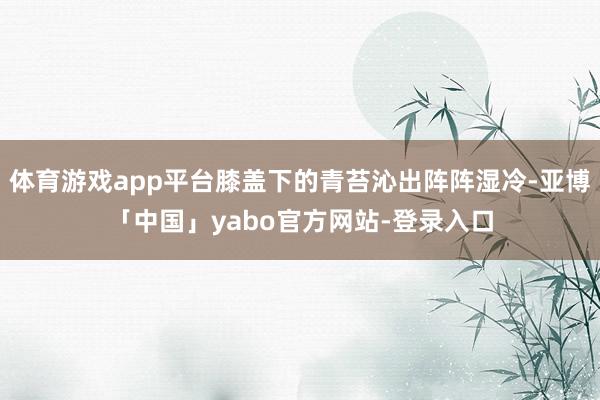 体育游戏app平台膝盖下的青苔沁出阵阵湿冷-亚博「中国」yabo官方网站-登录入口